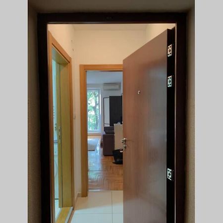 נובי סאד Renovated Cozy Studio 7 At Top Location - Available For Long Term Rentals מראה חיצוני תמונה
