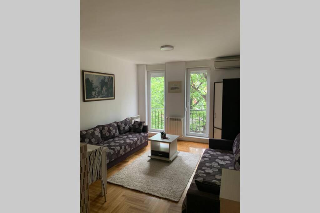 נובי סאד Renovated Cozy Studio 7 At Top Location - Available For Long Term Rentals מראה חיצוני תמונה