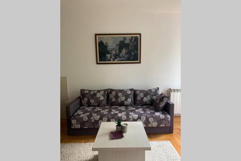 נובי סאד Renovated Cozy Studio 7 At Top Location - Available For Long Term Rentals מראה חיצוני תמונה